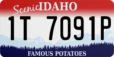 ID license plate 1T7091P