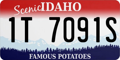 ID license plate 1T7091S