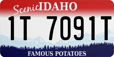 ID license plate 1T7091T