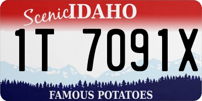 ID license plate 1T7091X