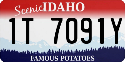 ID license plate 1T7091Y