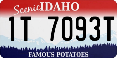 ID license plate 1T7093T