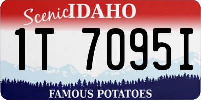 ID license plate 1T7095I