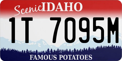 ID license plate 1T7095M