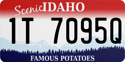 ID license plate 1T7095Q