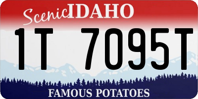 ID license plate 1T7095T