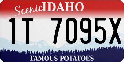 ID license plate 1T7095X