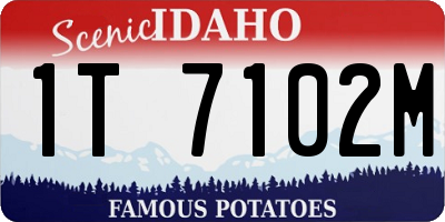 ID license plate 1T7102M