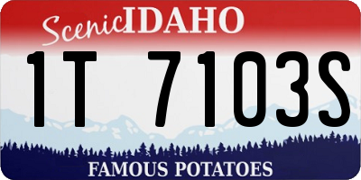 ID license plate 1T7103S