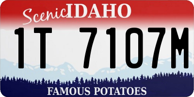 ID license plate 1T7107M