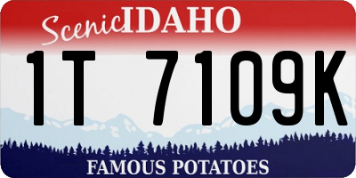 ID license plate 1T7109K