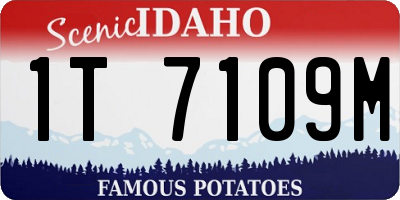 ID license plate 1T7109M