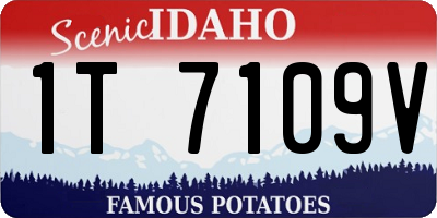 ID license plate 1T7109V