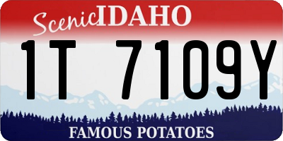 ID license plate 1T7109Y