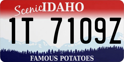 ID license plate 1T7109Z