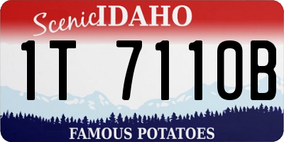 ID license plate 1T7110B