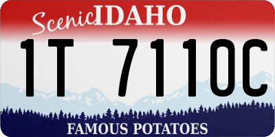 ID license plate 1T7110C