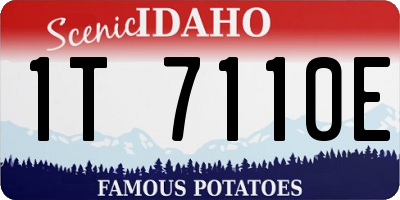 ID license plate 1T7110E