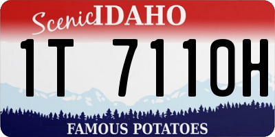 ID license plate 1T7110H