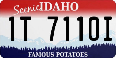 ID license plate 1T7110I