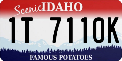 ID license plate 1T7110K