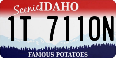 ID license plate 1T7110N