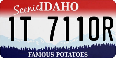ID license plate 1T7110R