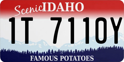 ID license plate 1T7110Y