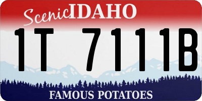 ID license plate 1T7111B