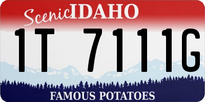 ID license plate 1T7111G