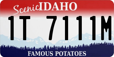 ID license plate 1T7111M