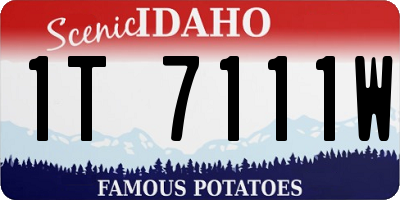 ID license plate 1T7111W