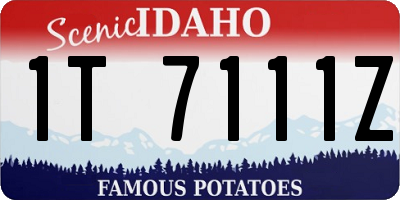 ID license plate 1T7111Z