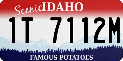 ID license plate 1T7112M