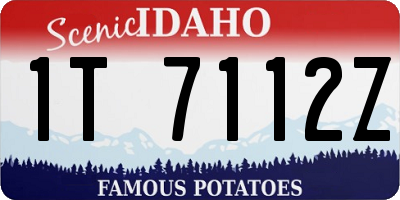 ID license plate 1T7112Z
