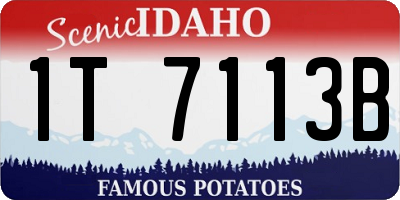 ID license plate 1T7113B