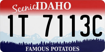 ID license plate 1T7113C