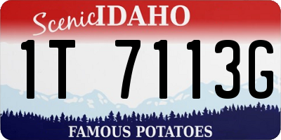 ID license plate 1T7113G