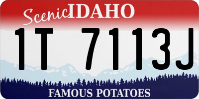 ID license plate 1T7113J