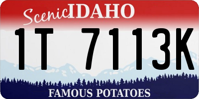ID license plate 1T7113K