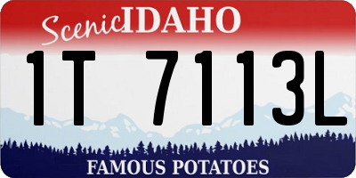 ID license plate 1T7113L