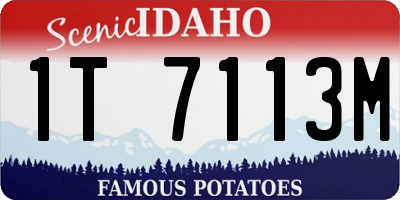 ID license plate 1T7113M