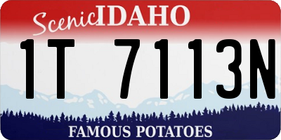 ID license plate 1T7113N