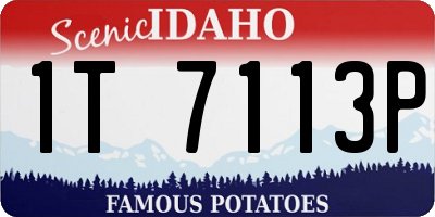 ID license plate 1T7113P