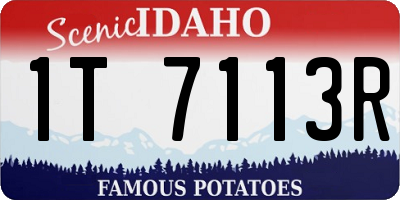 ID license plate 1T7113R