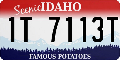 ID license plate 1T7113T