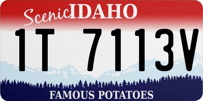 ID license plate 1T7113V