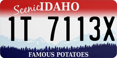 ID license plate 1T7113X