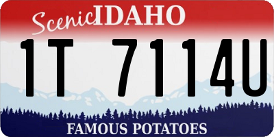 ID license plate 1T7114U