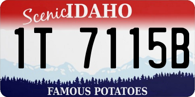 ID license plate 1T7115B